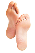 Foot Fact Image